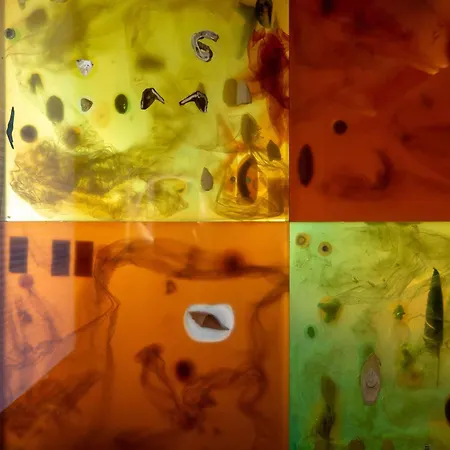 度假居 Seedorf 360 Grad