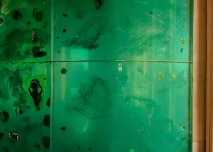 360 Grad Tatil Evi Seedorf (Rugen)